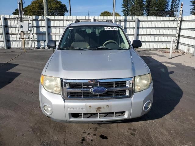 2008 Ford Escape XLT