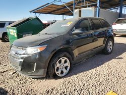 2013 Ford Edge SEL en venta en Phoenix, AZ