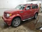 2008 Dodge Nitro R/T