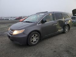 Salvage cars for sale at Eugene, OR auction: 2012 Honda Odyssey EXL