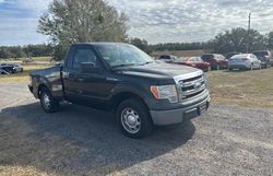 Ford salvage cars for sale: 2013 Ford F150