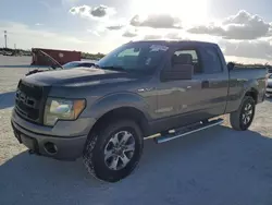 Ford salvage cars for sale: 2013 Ford F150 Super Cab