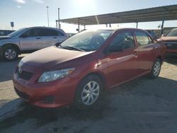 Salvage cars for sale from Copart Anthony, TX: 2009 Toyota Corolla Base