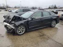 Salvage cars for sale at Fort Wayne, IN auction: 2021 Hyundai Sonata SEL