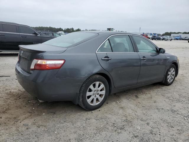 2008 Toyota Camry Hybrid