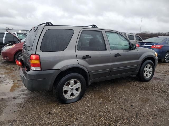 2005 Ford Escape XLT