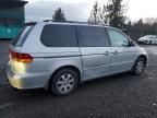 2004 Honda Odyssey EX