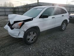 Honda salvage cars for sale: 2010 Honda CR-V EX