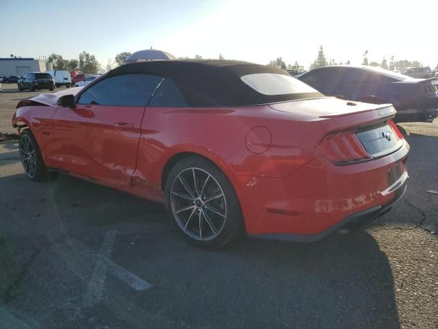 2019 Ford Mustang