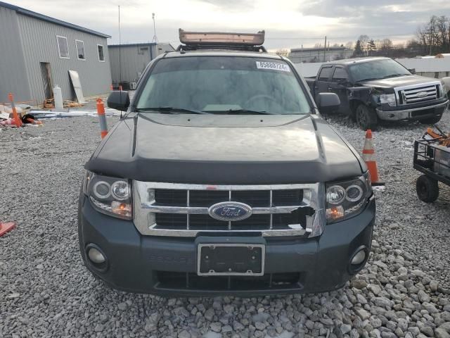 2008 Ford Escape XLT