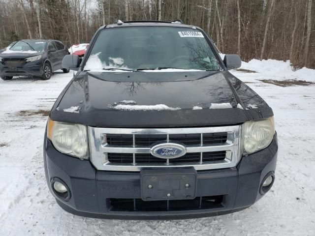 2010 Ford Escape XLT