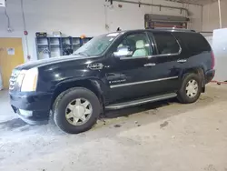 Cadillac salvage cars for sale: 2007 Cadillac Escalade Luxury