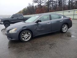 2009 Nissan Maxima S en venta en Brookhaven, NY