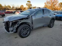 Salvage cars for sale at Hampton, VA auction: 2025 Lexus NX 350H Base