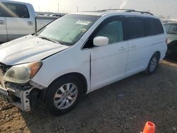 Salvage cars for sale at Magna, UT auction: 2010 Honda Odyssey EXL