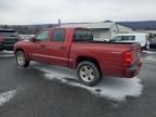 2010 Dodge Dakota SXT