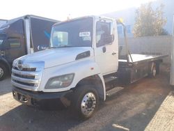 Salvage trucks for sale at Colton, CA auction: 2012 Hino 258 268