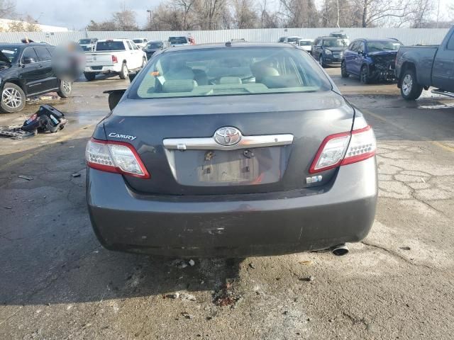 2010 Toyota Camry Hybrid