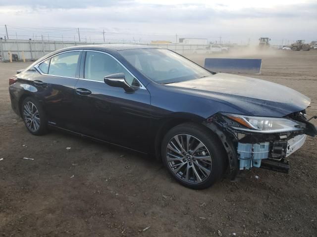 2019 Lexus ES 300H