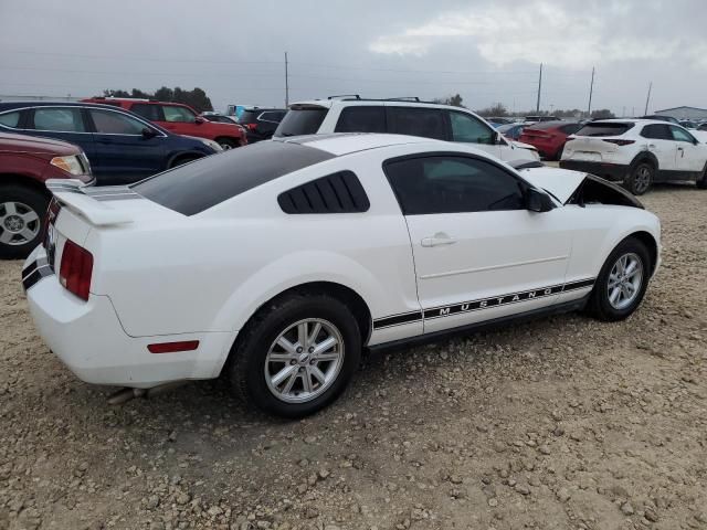 2005 Ford Mustang