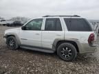 2002 Chevrolet Trailblazer