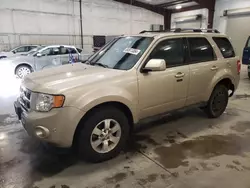 Salvage cars for sale from Copart Avon, MN: 2011 Ford Escape Limited