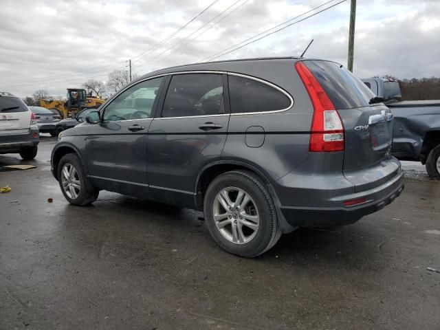 2010 Honda CR-V EXL