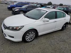 Honda Accord exl salvage cars for sale: 2015 Honda Accord EXL