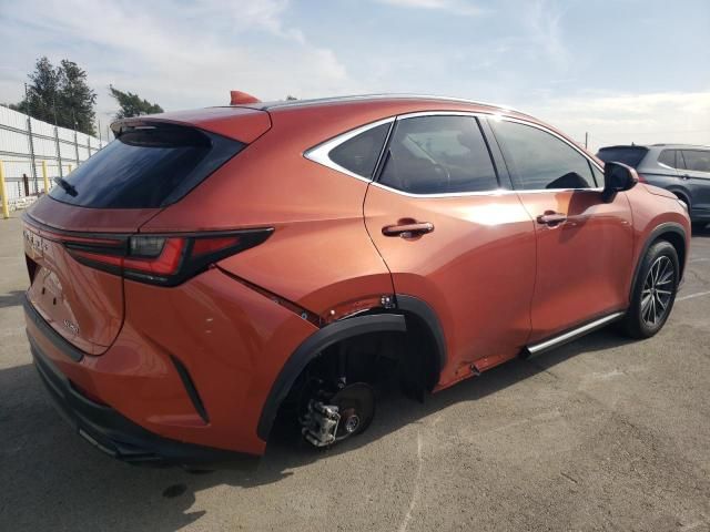 2022 Lexus NX 250