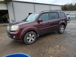 Honda Vehiculos salvage en venta: 2009 Honda Pilot