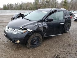 2009 Nissan Murano S en venta en Cookstown, ON