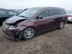 Salvage cars for sale at Elgin, IL auction: 2011 Honda Odyssey EX