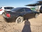 2003 Ford Mustang Mach I