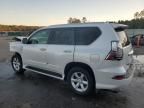 2014 Lexus GX 460 Premium