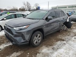 Salvage cars for sale from Copart Chicago Heights, IL: 2023 Toyota Rav4 XLE