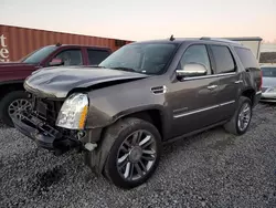 2013 Cadillac Escalade Platinum en venta en Hueytown, AL