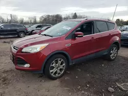 Salvage cars for sale from Copart Chalfont, PA: 2014 Ford Escape Titanium