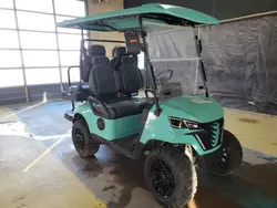 Salvage motorcycles for sale at Indianapolis, IN auction: 2024 Golf Cart