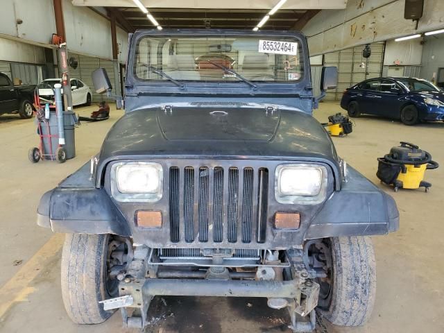 1994 Jeep Wrangler / YJ S