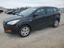 Ford Escape Vehiculos salvage en venta: 2013 Ford Escape S