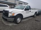 2013 Ford F150