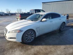 Salvage cars for sale from Copart Rocky View County, AB: 2015 Jaguar XF 2.0T Premium