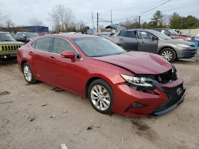 2013 Lexus ES 300H