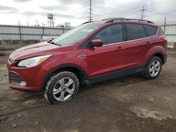 Salvage cars for sale at Chicago Heights, IL auction: 2013 Ford Escape SE