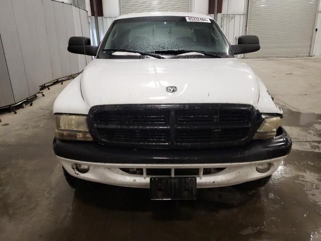 2004 Dodge Dakota Quad Sport