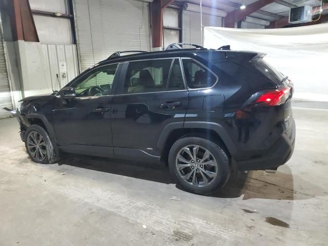 2023 Toyota Rav4 XLE Premium