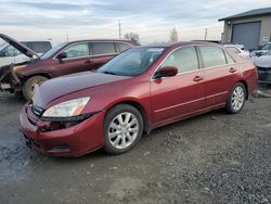 Honda Accord ex Vehiculos salvage en venta: 2006 Honda Accord EX