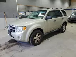 Salvage SUVs for sale at auction: 2011 Ford Escape XLT