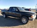 2004 Dodge Dakota SLT