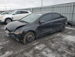 Salvage cars for sale at auction: 2010 Honda Civic DX-G